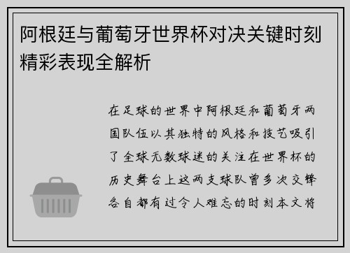 阿根廷与葡萄牙世界杯对决关键时刻精彩表现全解析